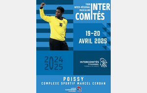 INTERCOMITE 19 et 20 avril 2025